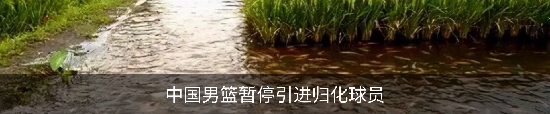 内页banner
